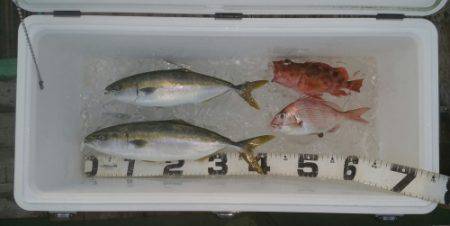 火遠理丸（ほおりまる） 釣果