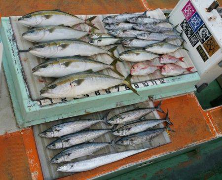 火遠理丸（ほおりまる） 釣果