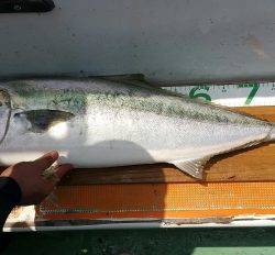 火遠理丸（ほおりまる） 釣果