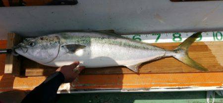 火遠理丸（ほおりまる） 釣果