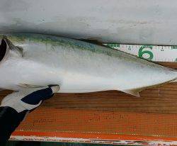 火遠理丸（ほおりまる） 釣果