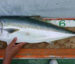 火遠理丸（ほおりまる） 釣果