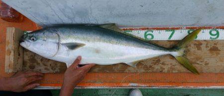 火遠理丸（ほおりまる） 釣果