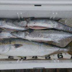 火遠理丸（ほおりまる） 釣果