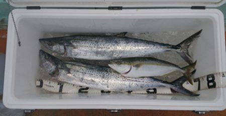 火遠理丸（ほおりまる） 釣果