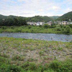 狩野川(狩野川漁業協同組合) 釣果