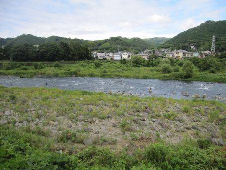 狩野川(狩野川漁業協同組合) 釣果