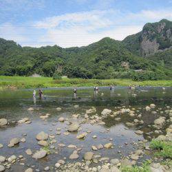 狩野川(狩野川漁業協同組合) 釣果