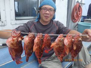 石川丸 釣果