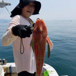 遊漁船　ニライカナイ 釣果