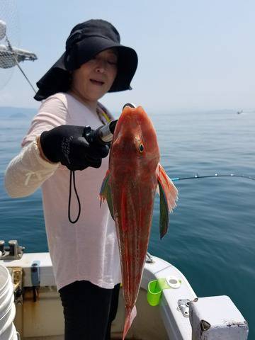 遊漁船　ニライカナイ 釣果