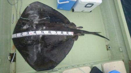 気仙沼　つり丸 釣果