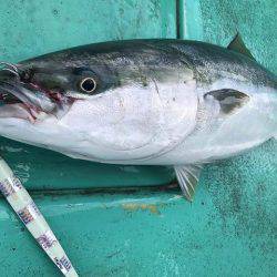 広進丸 釣果