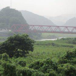 狩野川(狩野川漁業協同組合) 釣果