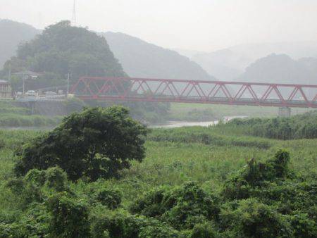 狩野川(狩野川漁業協同組合) 釣果