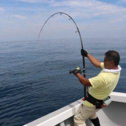 へいみつ丸 釣果
