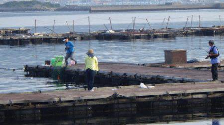 淡路じゃのひれフィッシングパーク 釣果
