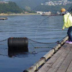 淡路じゃのひれフィッシングパーク 釣果