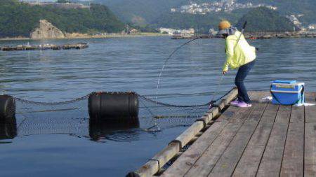 淡路じゃのひれフィッシングパーク 釣果