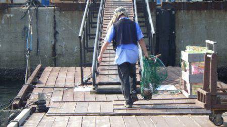 淡路じゃのひれフィッシングパーク 釣果