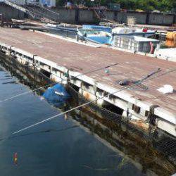 淡路じゃのひれフィッシングパーク 釣果