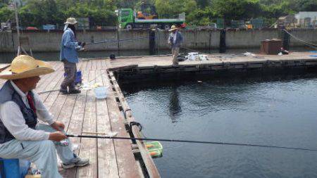 淡路じゃのひれフィッシングパーク 釣果