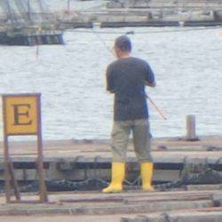 淡路じゃのひれフィッシングパーク 釣果