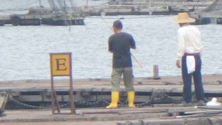 淡路じゃのひれフィッシングパーク 釣果