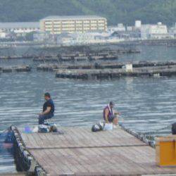 淡路じゃのひれフィッシングパーク 釣果