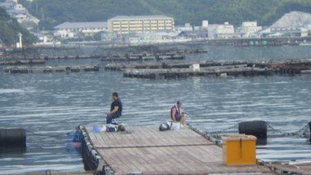 淡路じゃのひれフィッシングパーク 釣果