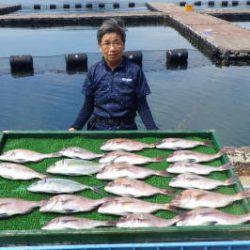 淡路じゃのひれフィッシングパーク 釣果