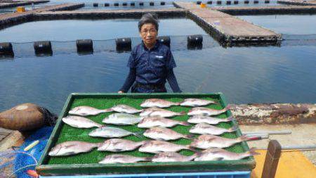 淡路じゃのひれフィッシングパーク 釣果