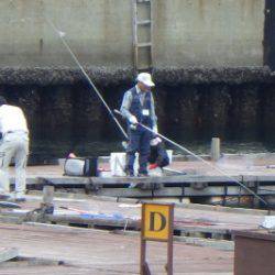 淡路じゃのひれフィッシングパーク 釣果