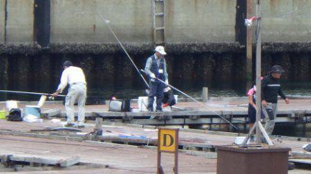 淡路じゃのひれフィッシングパーク 釣果