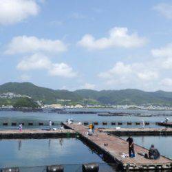 淡路じゃのひれフィッシングパーク 釣果