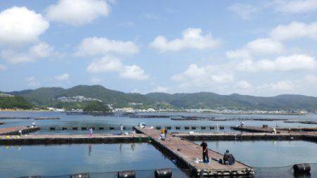 淡路じゃのひれフィッシングパーク 釣果