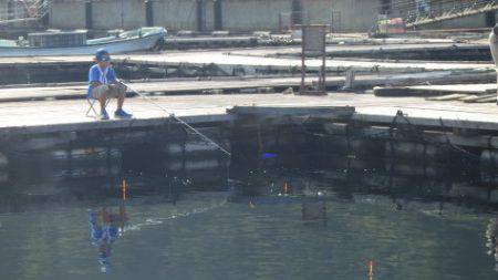 淡路じゃのひれフィッシングパーク 釣果