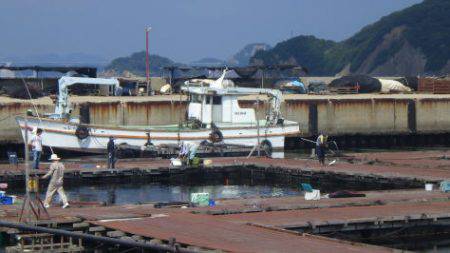 淡路じゃのひれフィッシングパーク 釣果