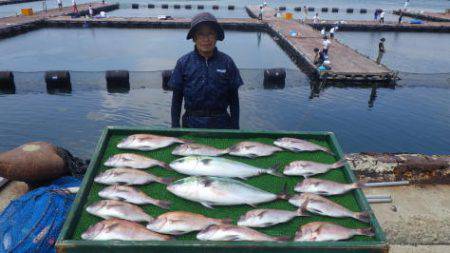淡路じゃのひれフィッシングパーク 釣果