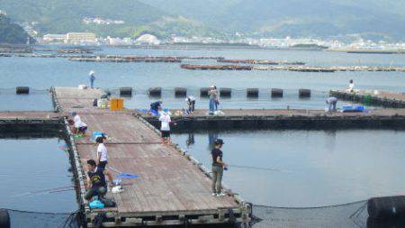 淡路じゃのひれフィッシングパーク 釣果