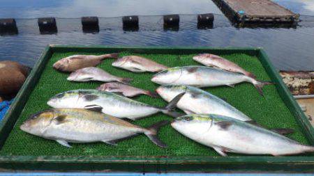 淡路じゃのひれフィッシングパーク 釣果