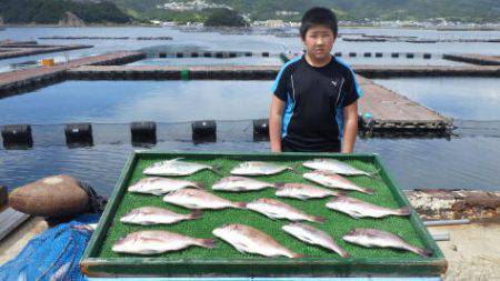 淡路じゃのひれフィッシングパーク 釣果