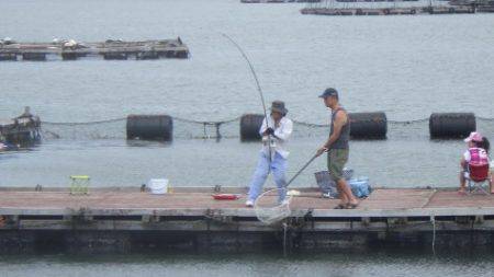 淡路じゃのひれフィッシングパーク 釣果