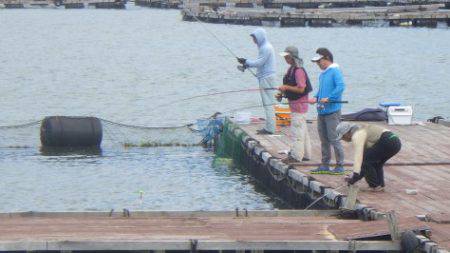 淡路じゃのひれフィッシングパーク 釣果