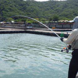 淡路じゃのひれフィッシングパーク 釣果