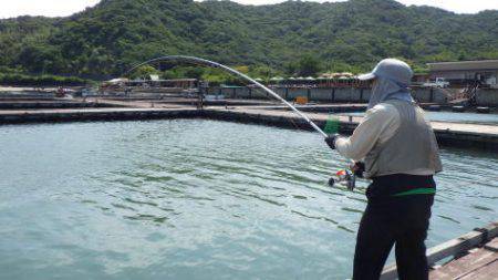 淡路じゃのひれフィッシングパーク 釣果