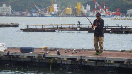 淡路じゃのひれフィッシングパーク 釣果