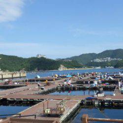 淡路じゃのひれフィッシングパーク 釣果