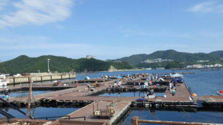 淡路じゃのひれフィッシングパーク 釣果