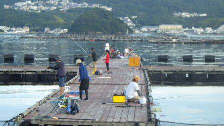 淡路じゃのひれフィッシングパーク 釣果